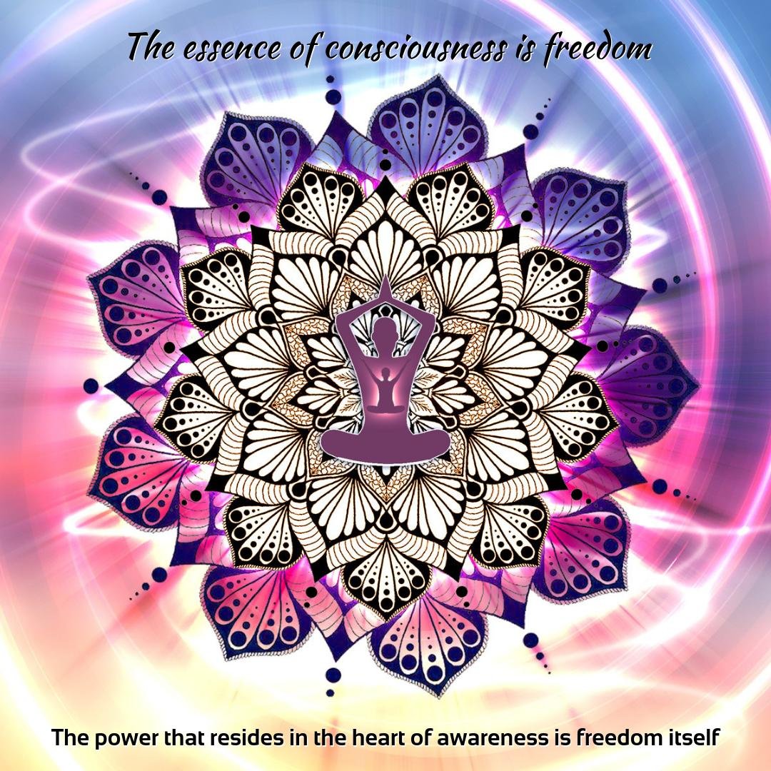 The Essence of consciousness is freedom