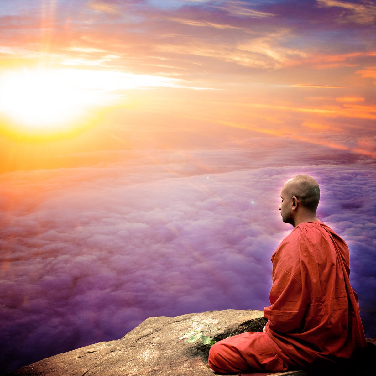 Abide in the Sky of Consciousness