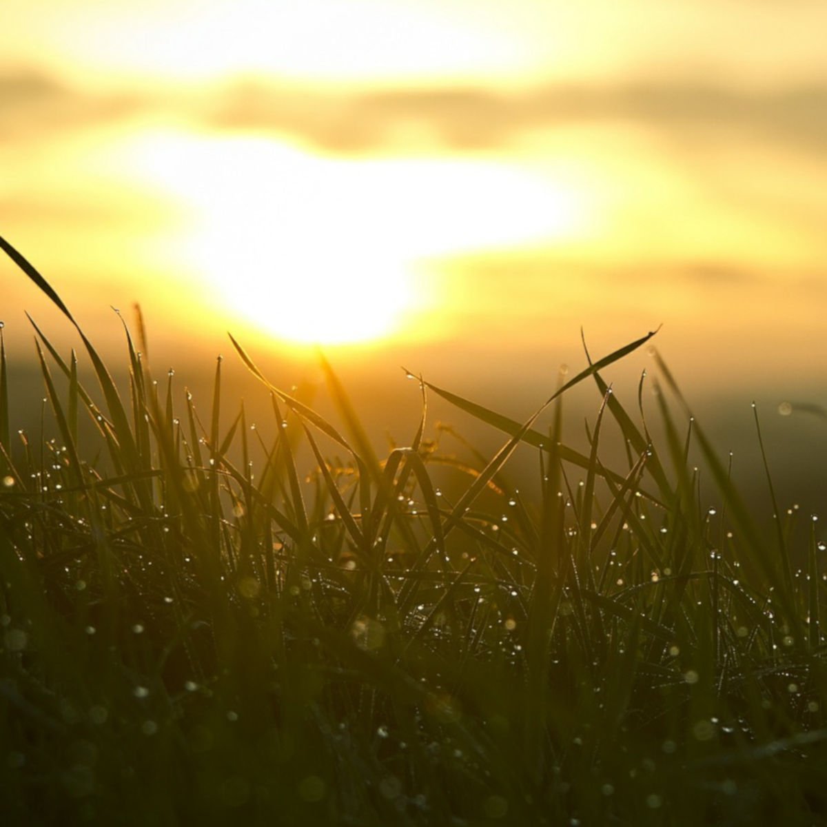 Yesterday doesn't exist, Tomorrow never comes