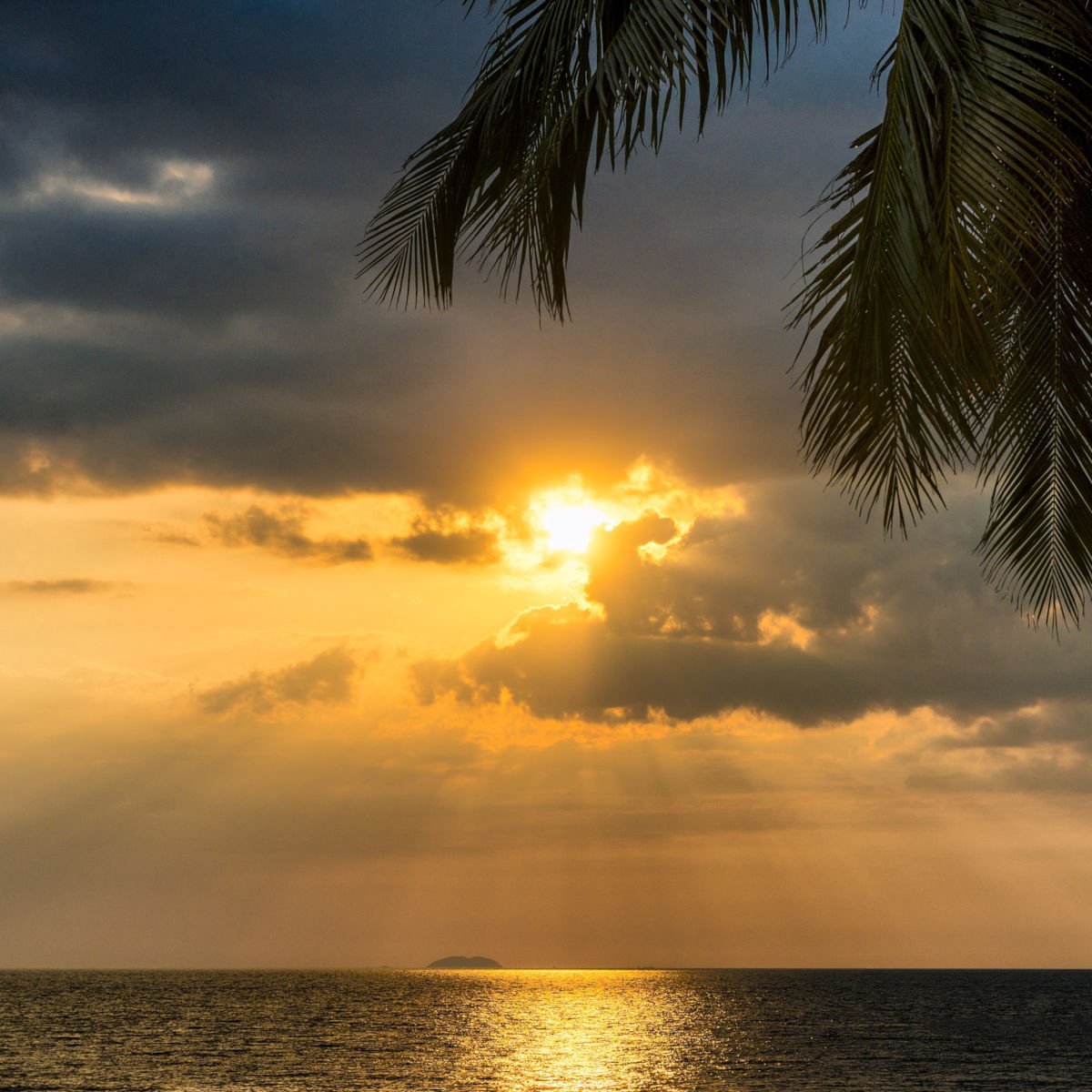 The Sun of Consciousness