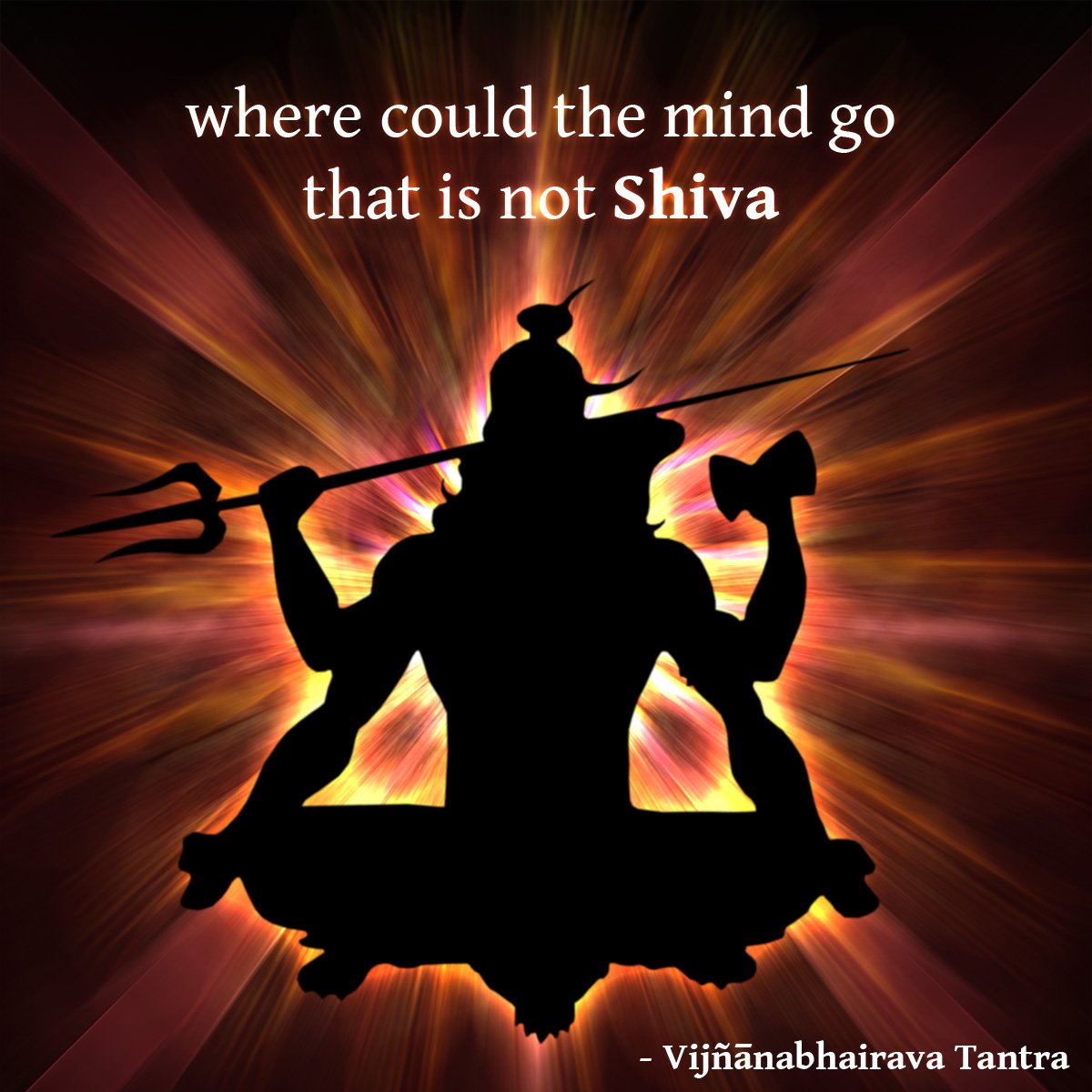 everything is consciousness