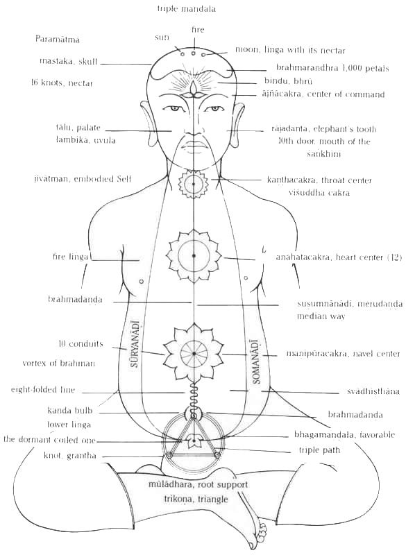 Yogic Subtle Body Map